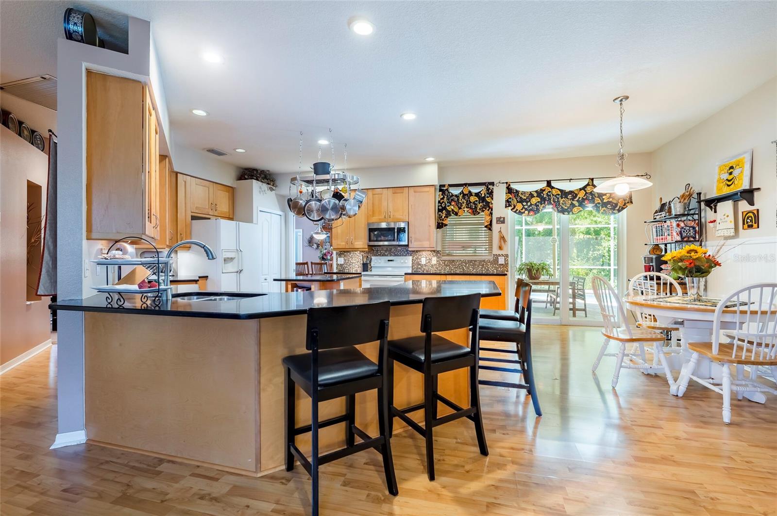 22754 MAGNOLIA TRACE BLVD, LUTZ, FL, 33549