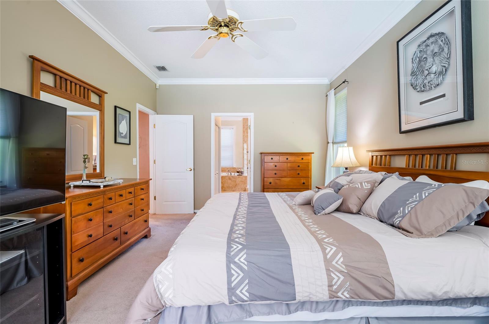 22754 MAGNOLIA TRACE BLVD, LUTZ, FL, 33549