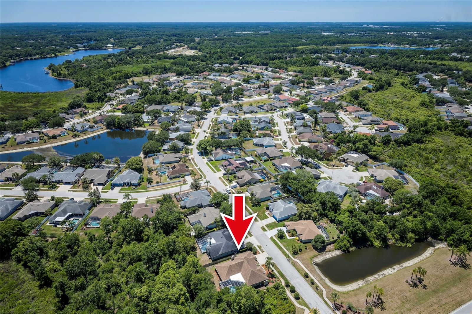 22754 MAGNOLIA TRACE BLVD, LUTZ, FL, 33549