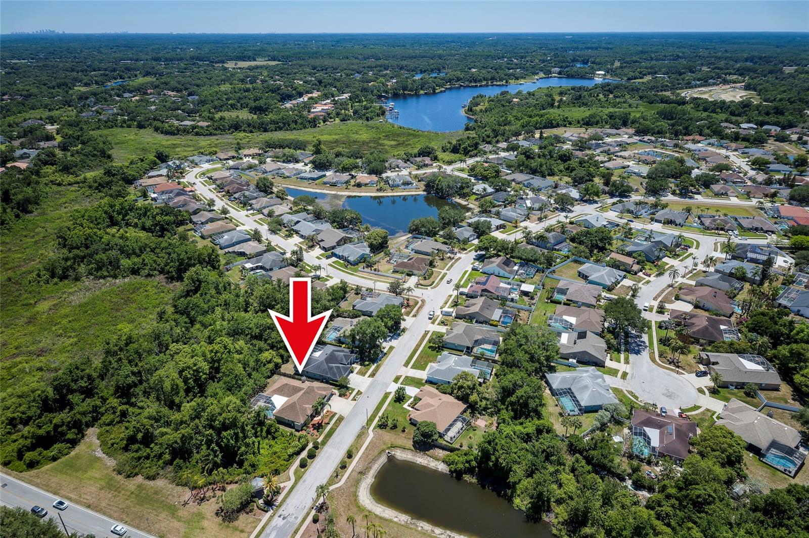 22754 MAGNOLIA TRACE BLVD, LUTZ, FL, 33549