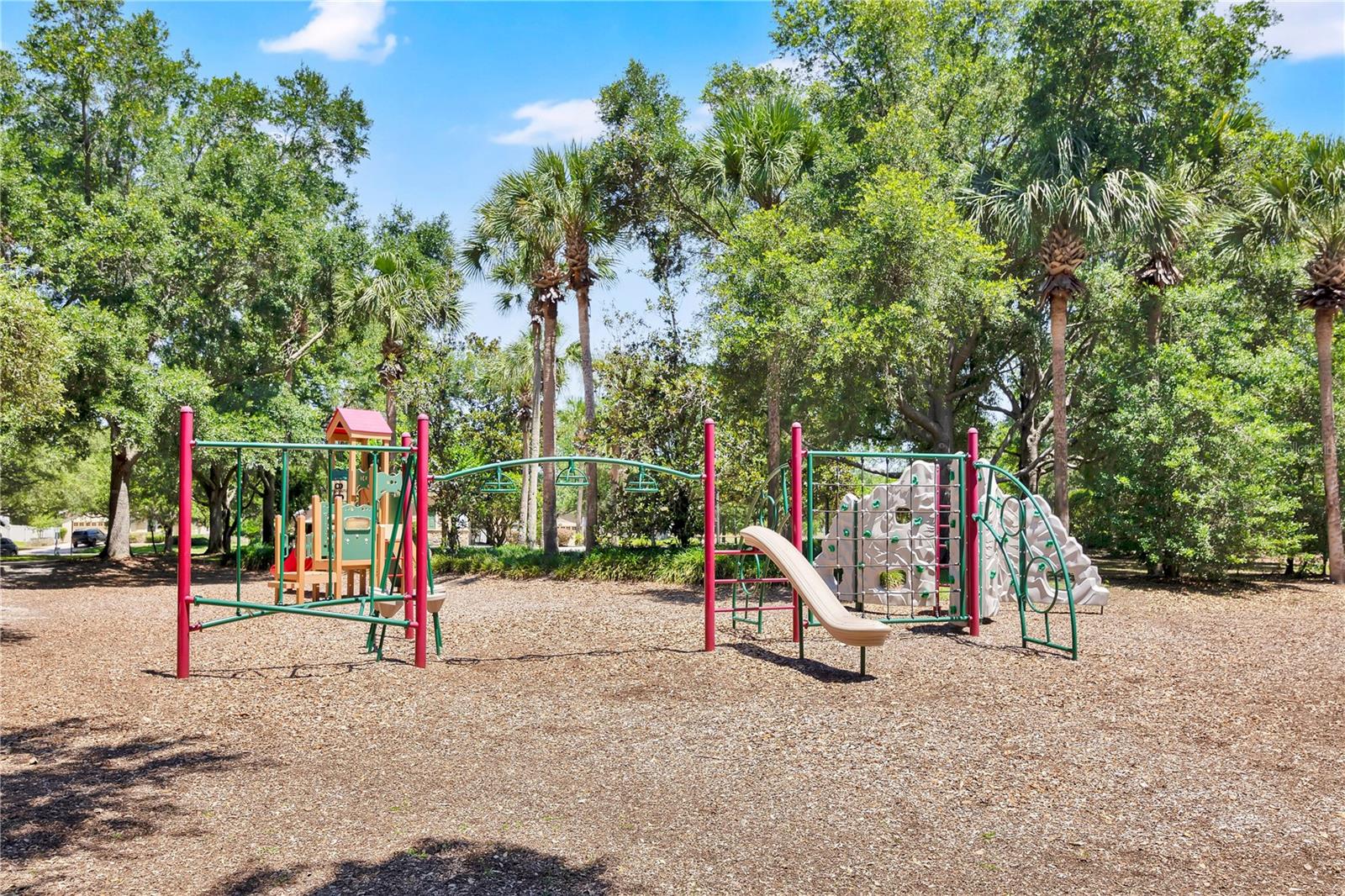 21345 SULLIVAN RANCH BOULEVARD, MOUNT DORA, FL, 32757