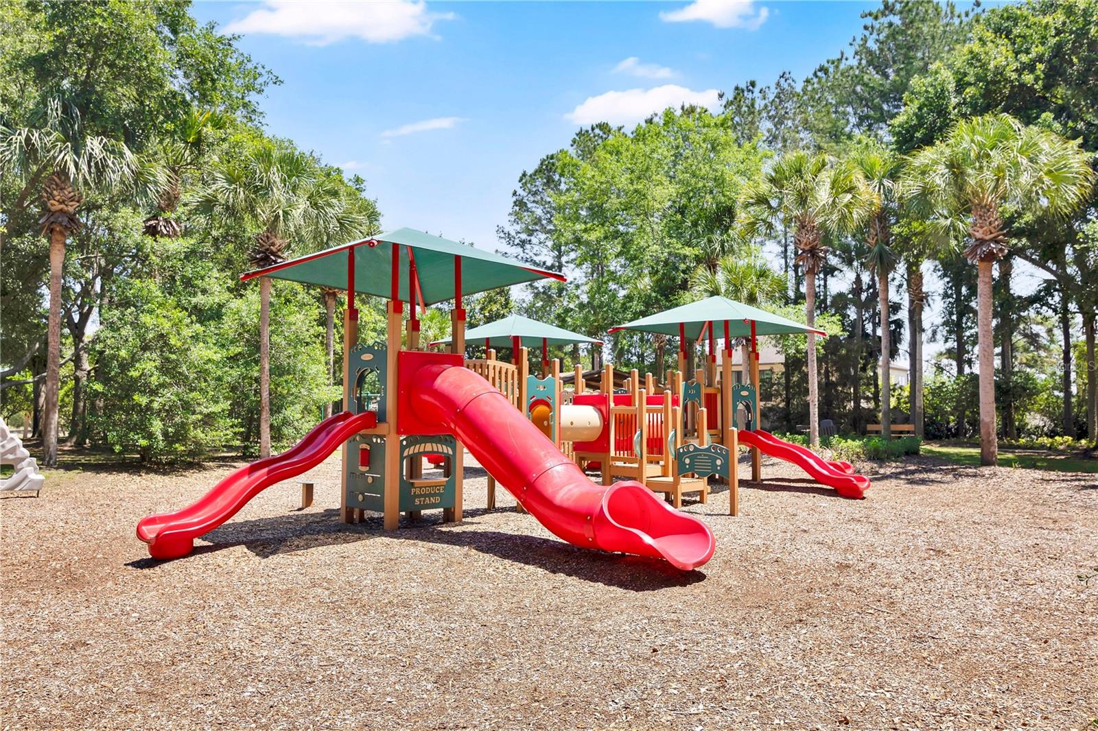21345 SULLIVAN RANCH BOULEVARD, MOUNT DORA, FL, 32757