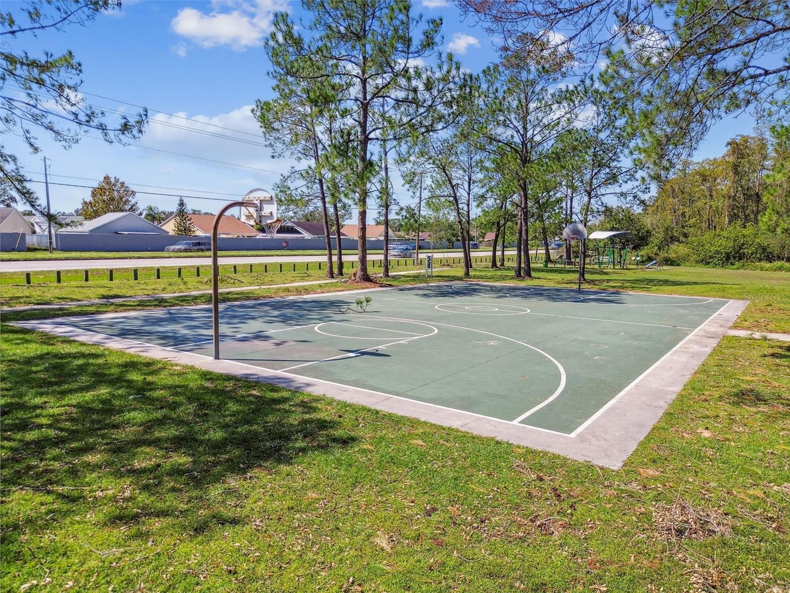 4733 RIDGE POINT DR, TAMPA, FL, 33624