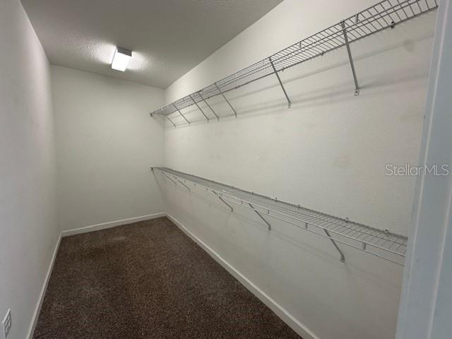 14079 GOLD BRIDGE DR, ORLANDO, FL, 32824