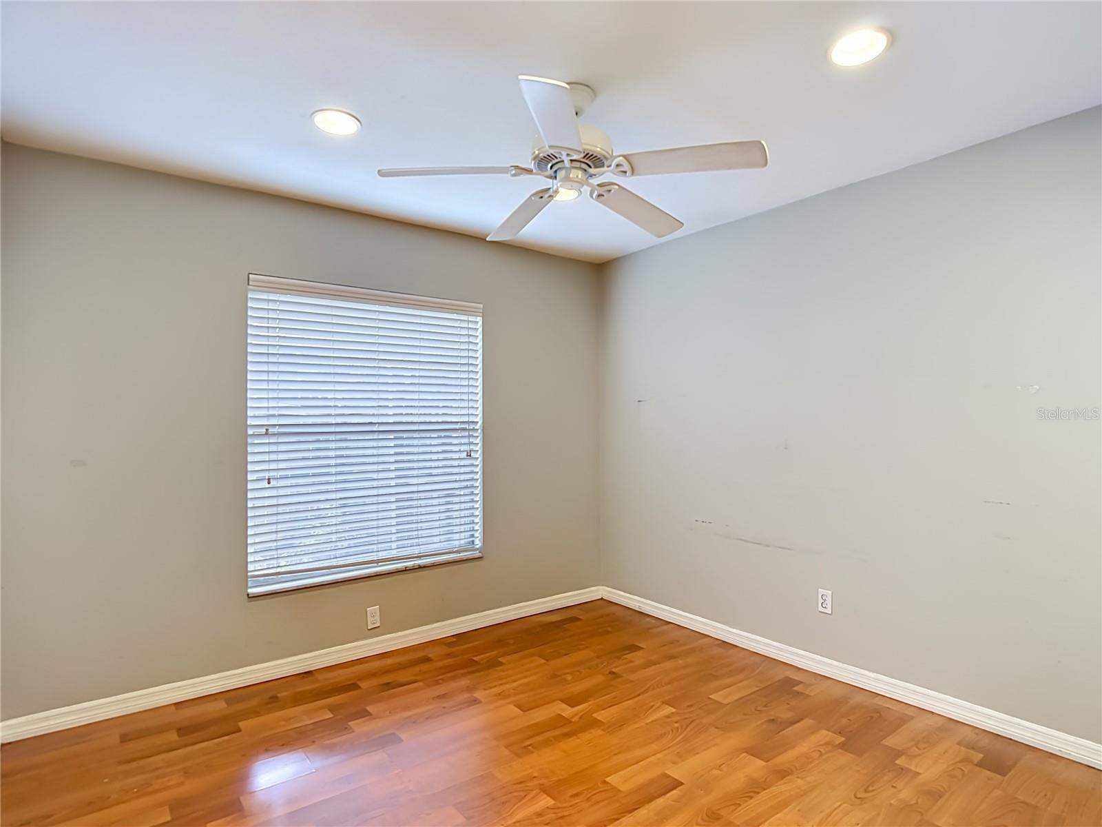 811 AMBASSADOR LOOP, TAMPA, FL, 33613