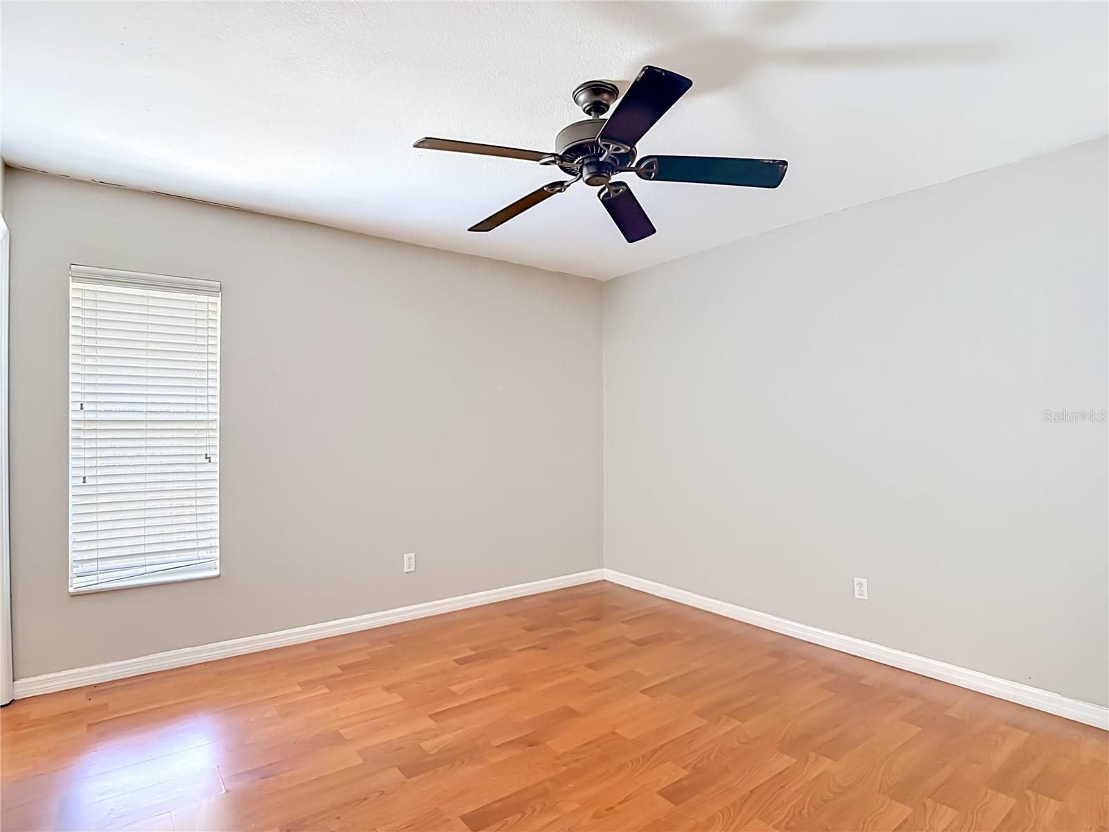 811 AMBASSADOR LOOP, TAMPA, FL, 33613