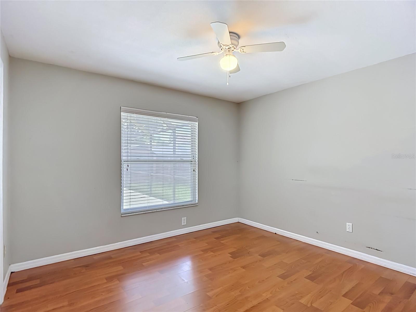811 AMBASSADOR LOOP, TAMPA, FL, 33613