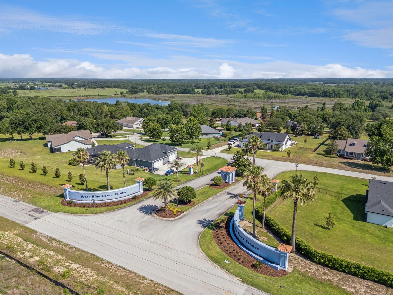 18353 GREAT BLUE HERON DR, GROVELAND, FL, 34736
