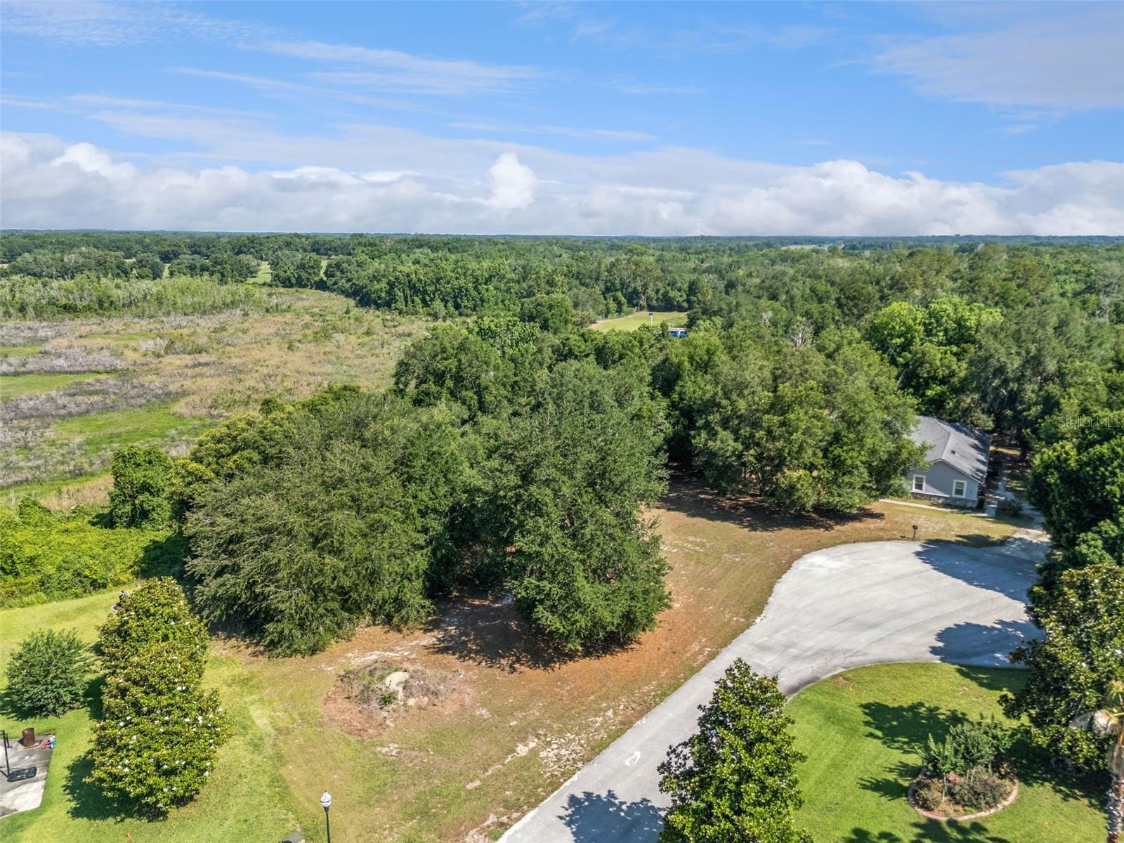 18353 GREAT BLUE HERON DR, GROVELAND, FL, 34736