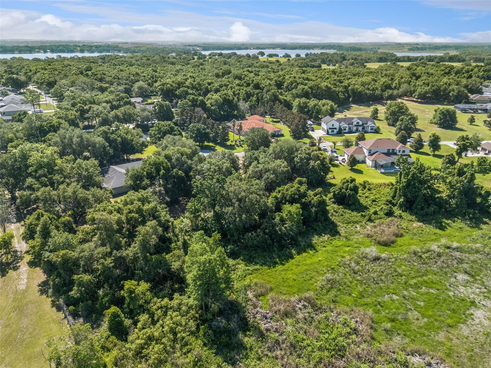 18353 GREAT BLUE HERON DR, GROVELAND, FL, 34736