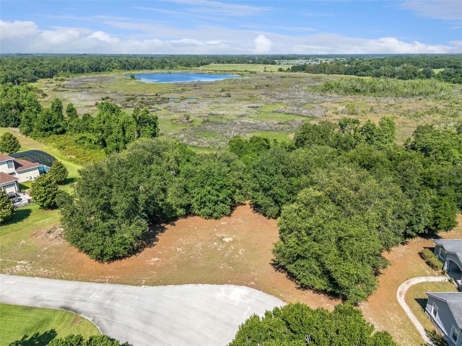 18353 GREAT BLUE HERON DR, GROVELAND, FL, 34736