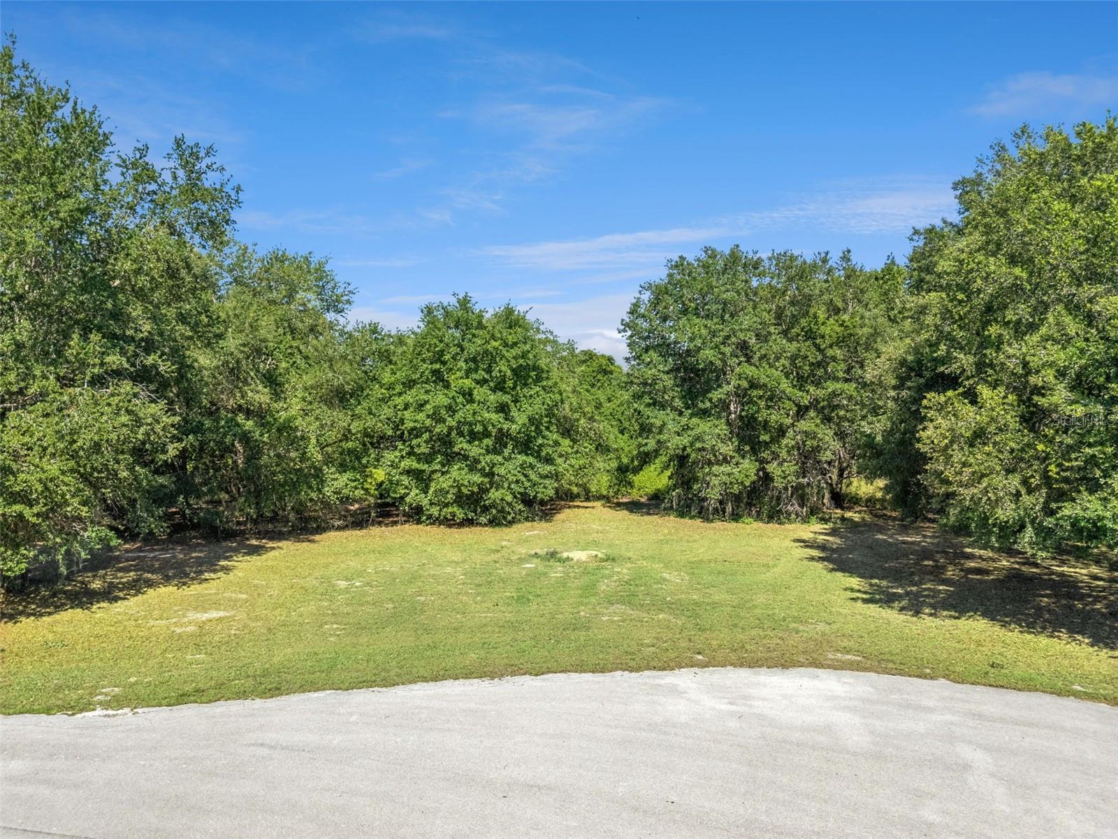 18353 GREAT BLUE HERON DR, GROVELAND, FL, 34736