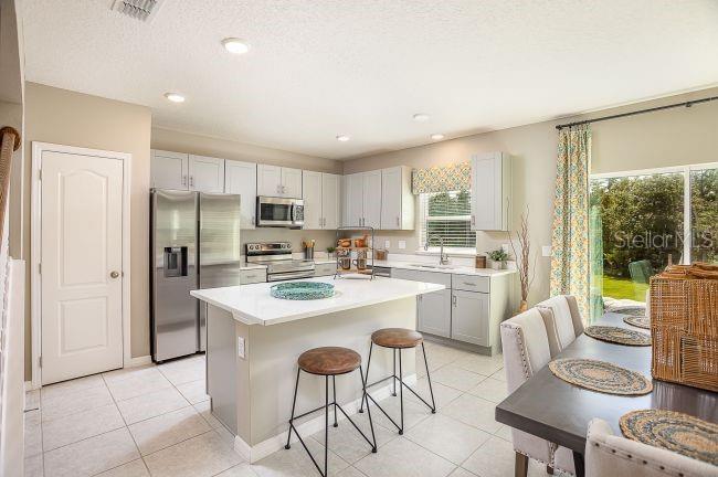 31576 WILD GRAPE LN, BROOKSVILLE, FL, 34602