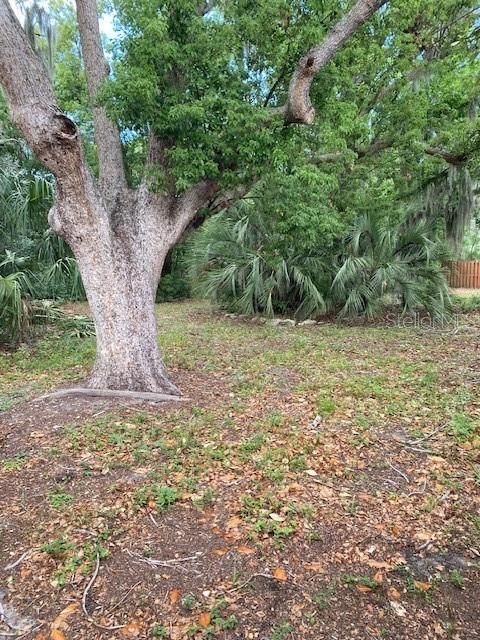 6442 TREEHAVEN DR, SPRING HILL, FL, 34606