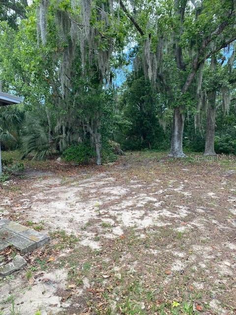 6442 TREEHAVEN DR, SPRING HILL, FL, 34606