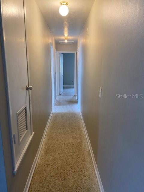 6442 TREEHAVEN DR, SPRING HILL, FL, 34606
