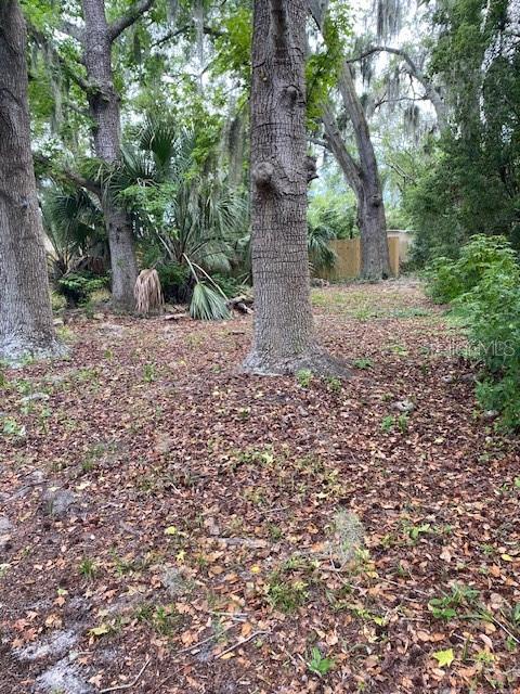 6442 TREEHAVEN DR, SPRING HILL, FL, 34606