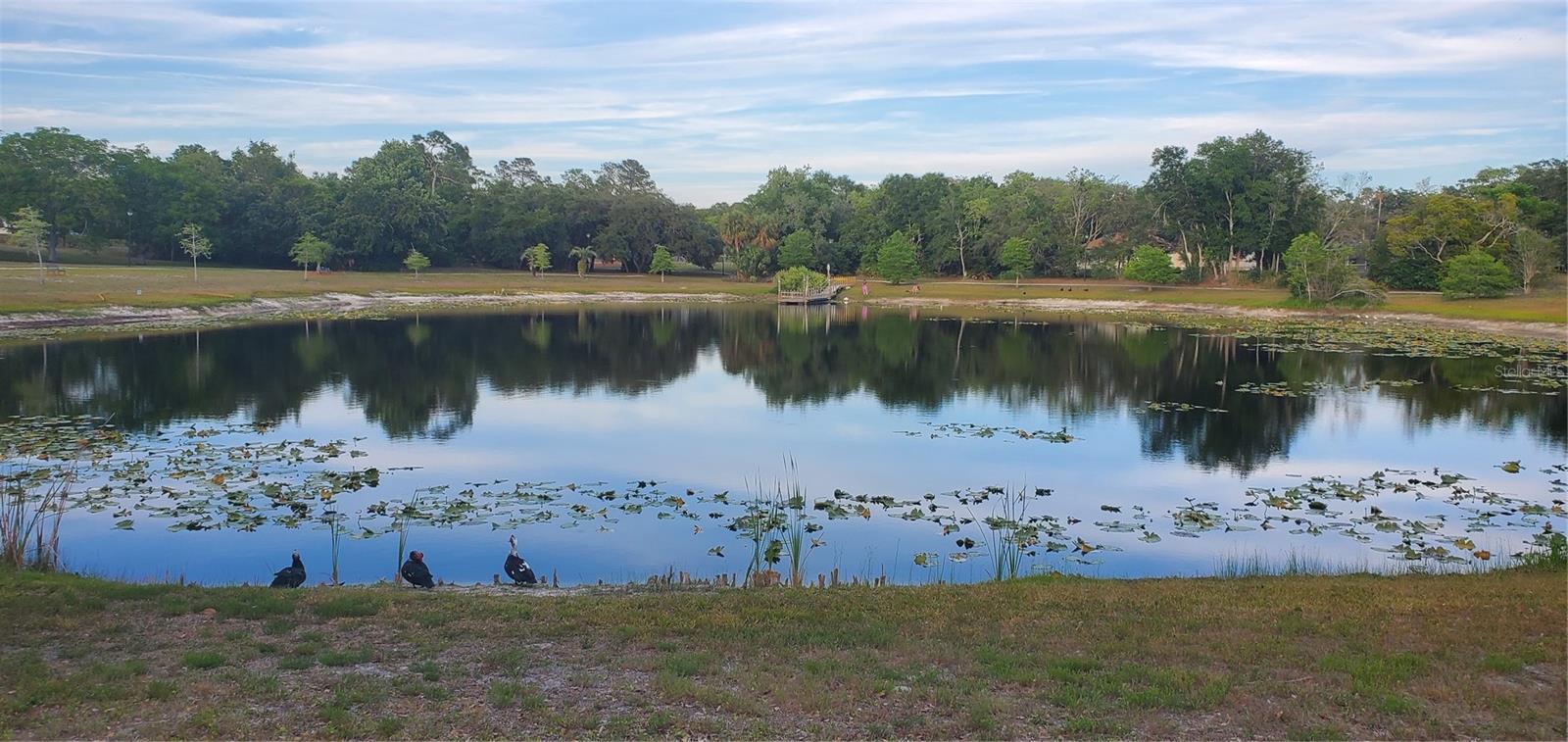 7517 JOMEL DR, WEEKI WACHEE, FL, 34607
