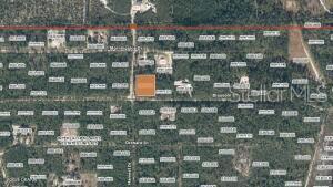 XX PINE WAY, INTERLACHEN, FL, 32148