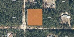 XX PINE WAY, INTERLACHEN, FL, 32148