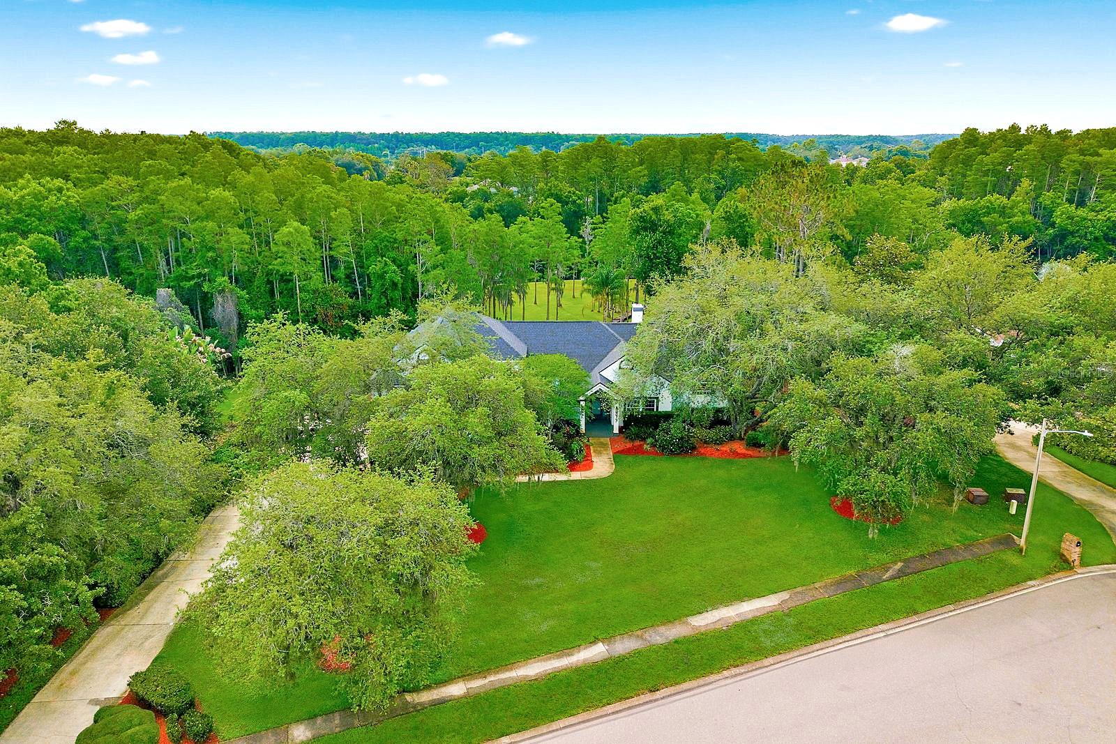877 CYPRESS LAKEVIEW CT, TARPON SPRINGS, FL, 34688