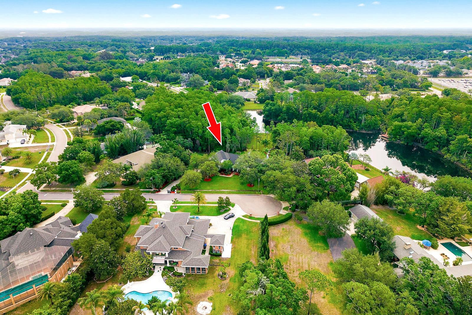 877 CYPRESS LAKEVIEW CT, TARPON SPRINGS, FL, 34688