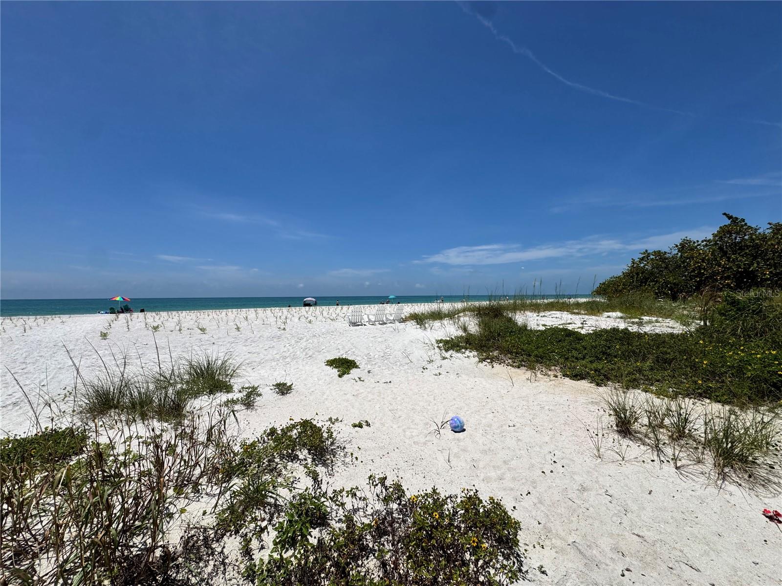 18838 GULF BLVD #202, INDIAN SHORES, FL, 33785