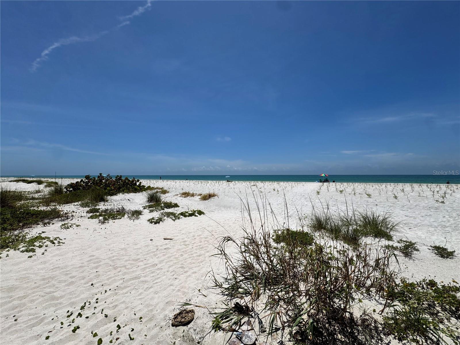18838 GULF BLVD #202, INDIAN SHORES, FL, 33785
