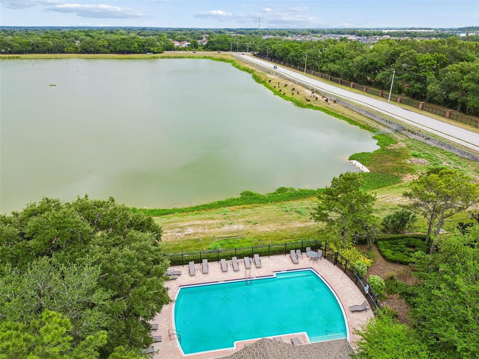4911 BARNSTEAD DR, RIVERVIEW, FL, 33578