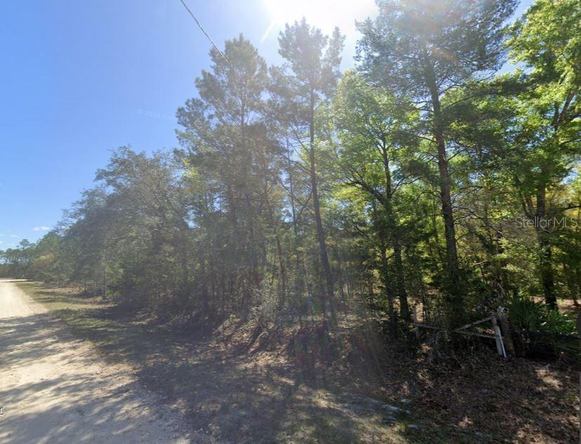 835 DEERWOOD AVE, PERRY, FL, 32348