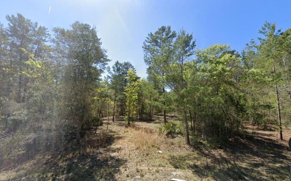 835 DEERWOOD AVE, PERRY, FL, 32348