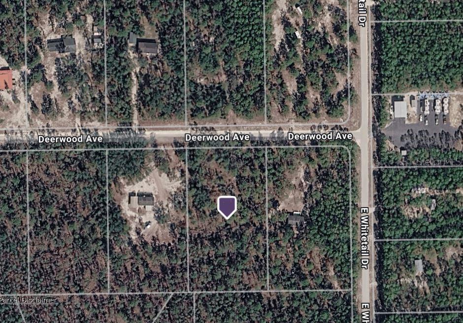 835 DEERWOOD AVE, PERRY, FL, 32348