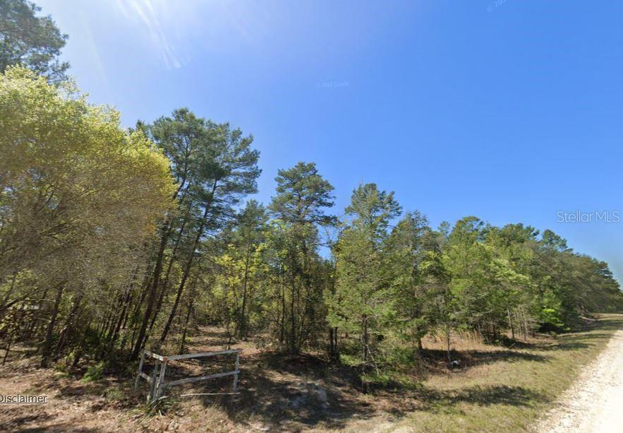835 DEERWOOD AVE, PERRY, FL, 32348