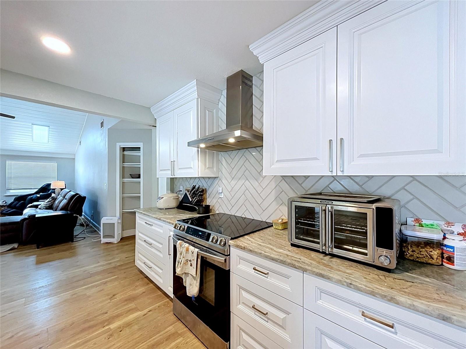 2210 ARBOR OAKS DR, VALRICO, FL, 33594