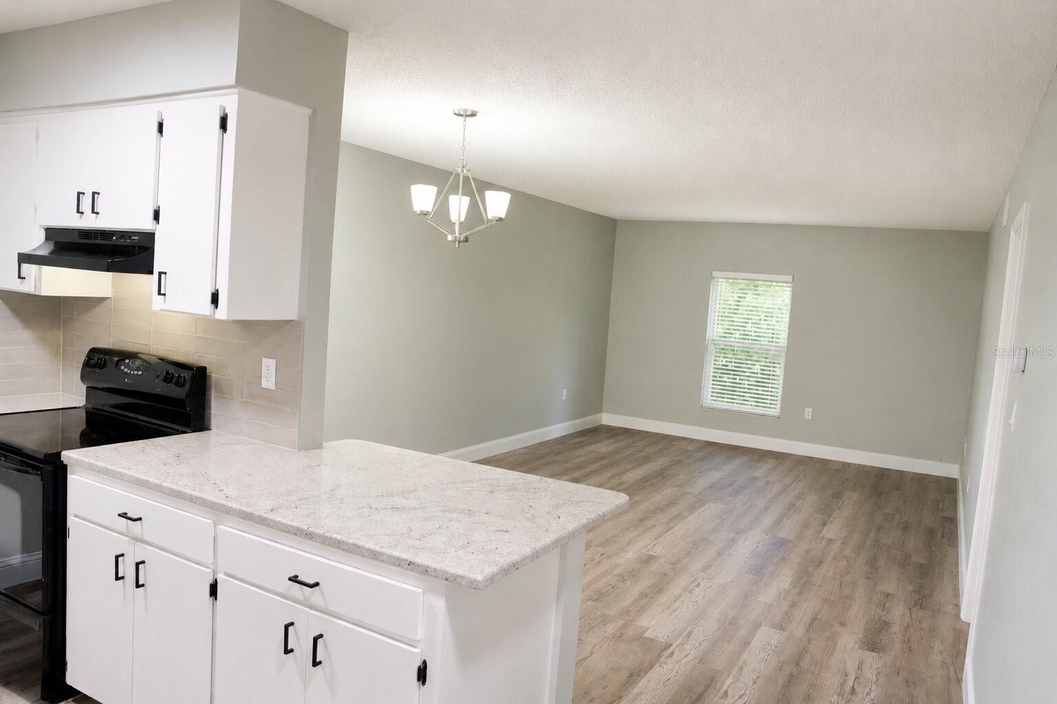 165 PICARDY VILLA CIR #201, BRANDON, FL, 33510