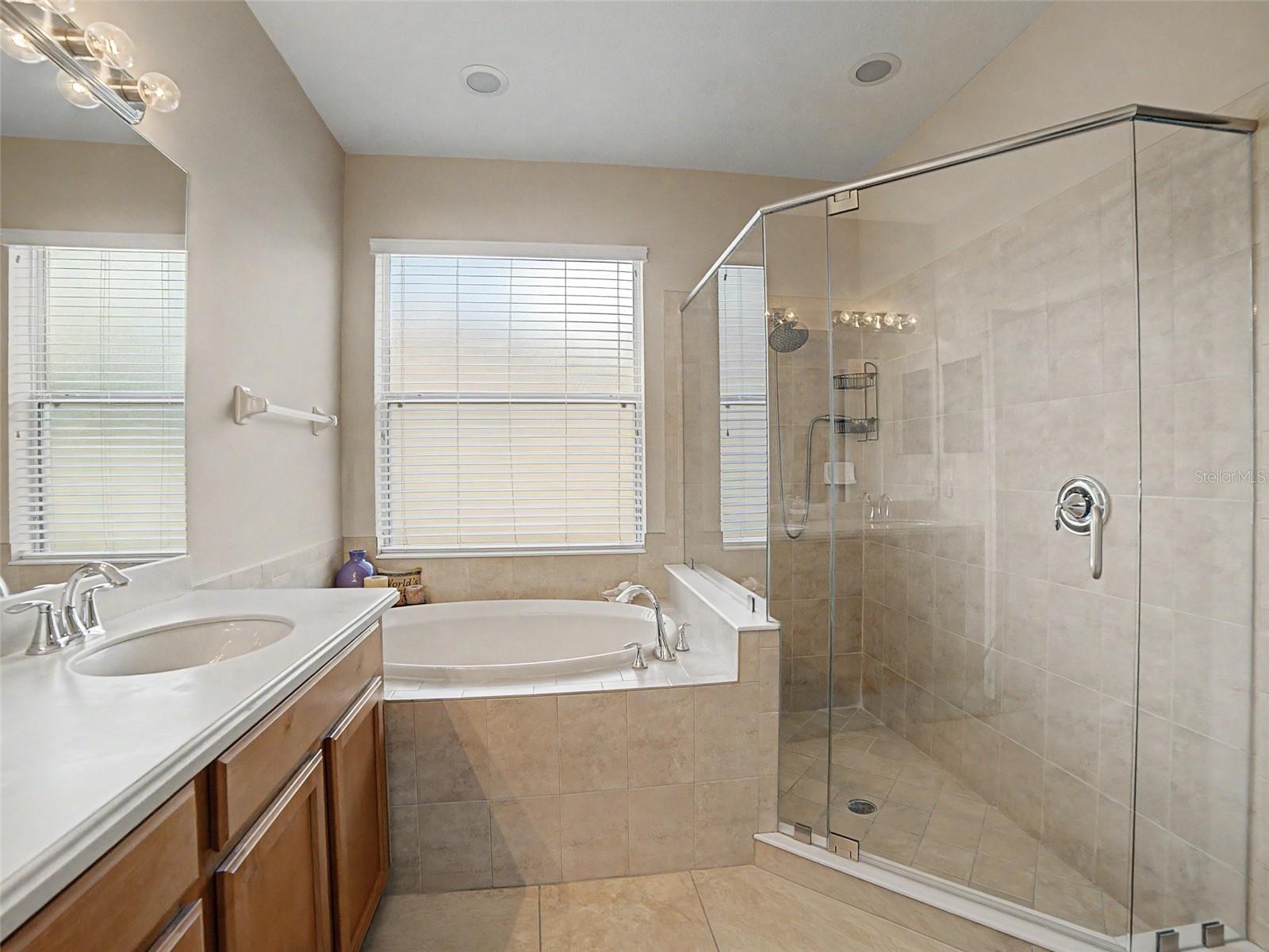 11005 ROCKLEDGE VIEW DR, RIVERVIEW, FL, 33578