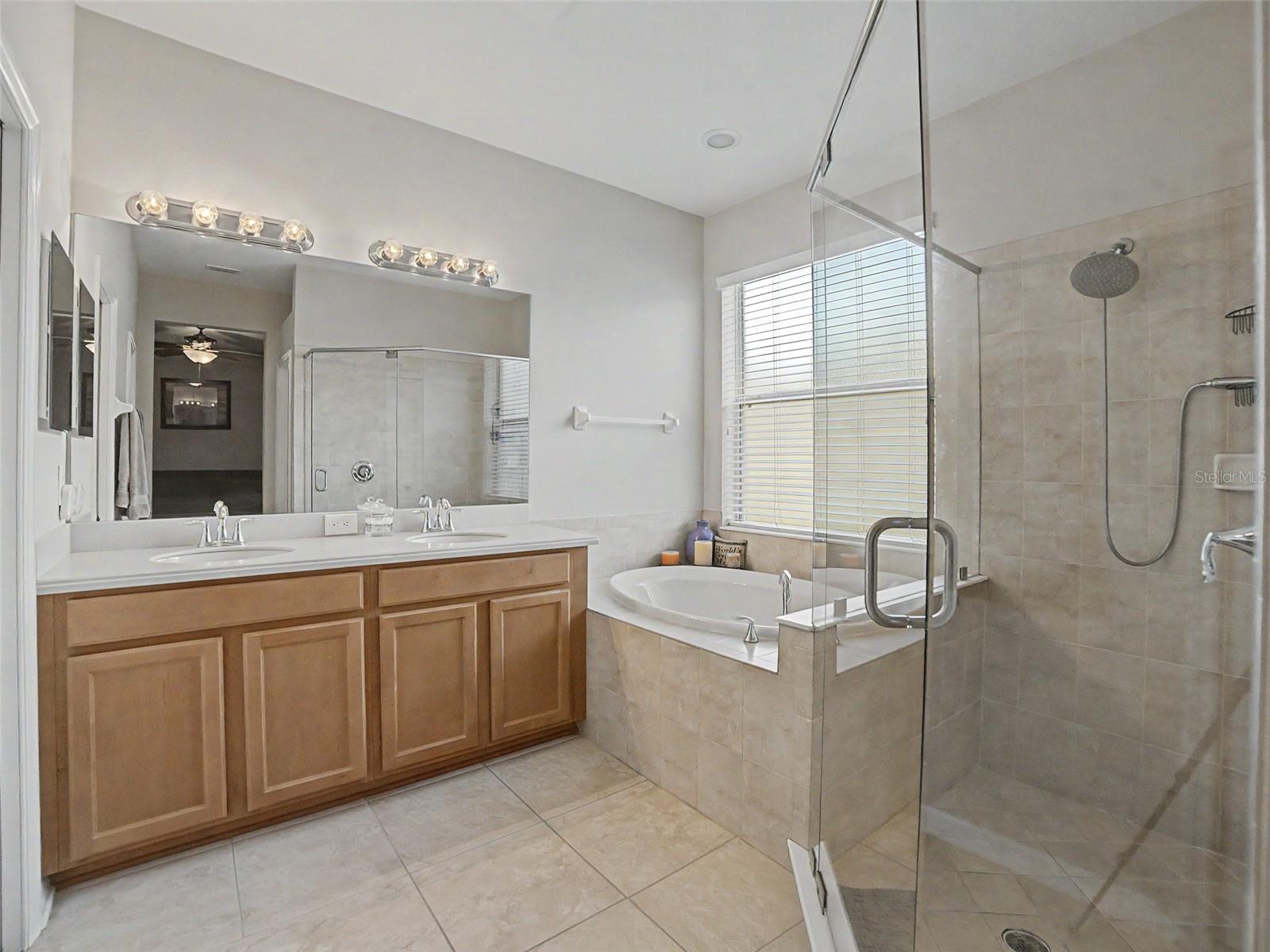 11005 ROCKLEDGE VIEW DR, RIVERVIEW, FL, 33578