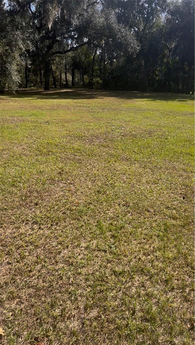 COCONUT COVE PL, VALRICO, FL, 33596