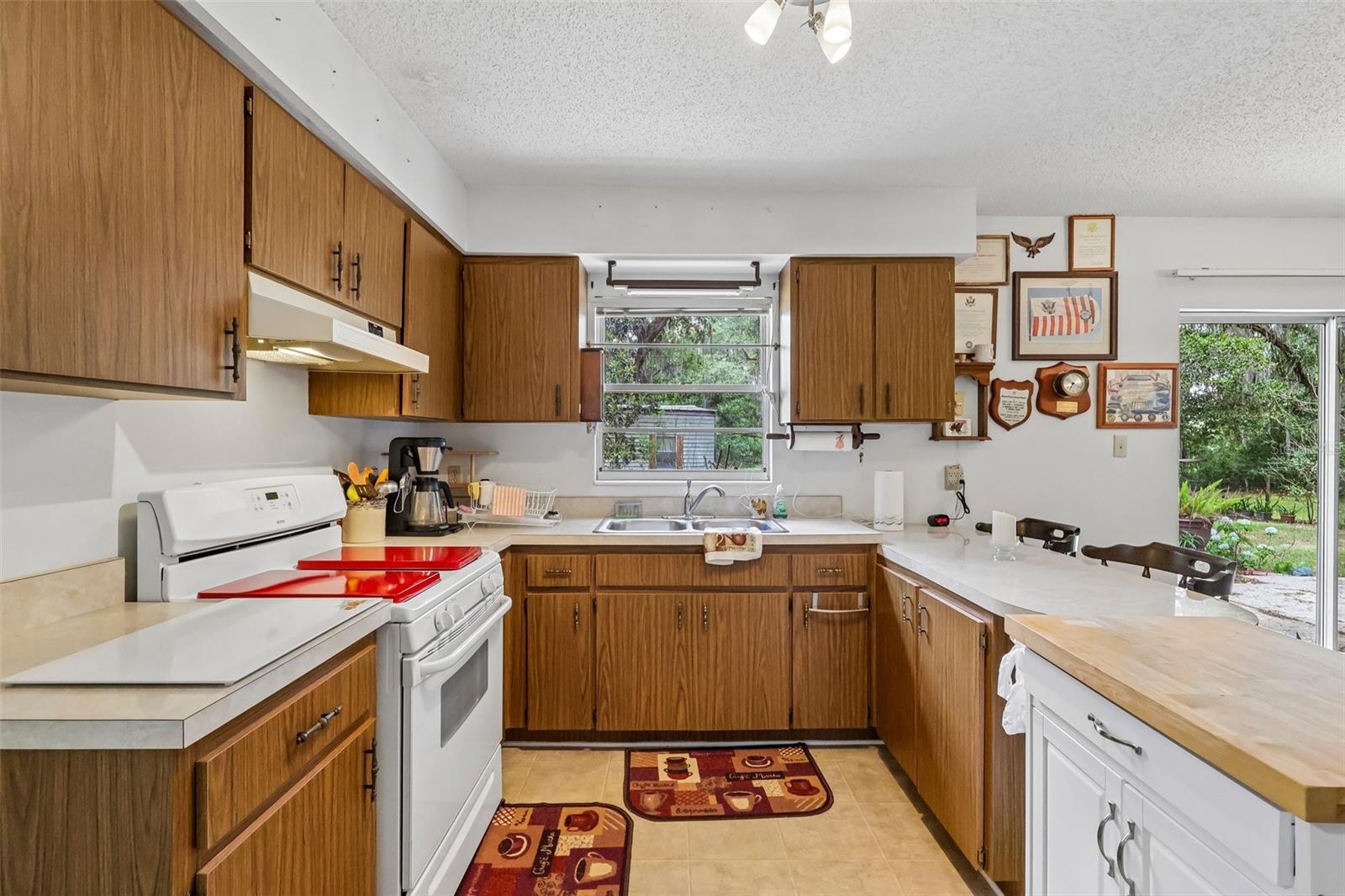 774 SE 116TH LN, WEBSTER, FL, 33597
