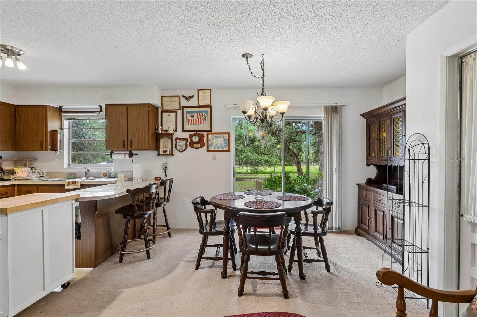 774 SE 116TH LN, WEBSTER, FL, 33597