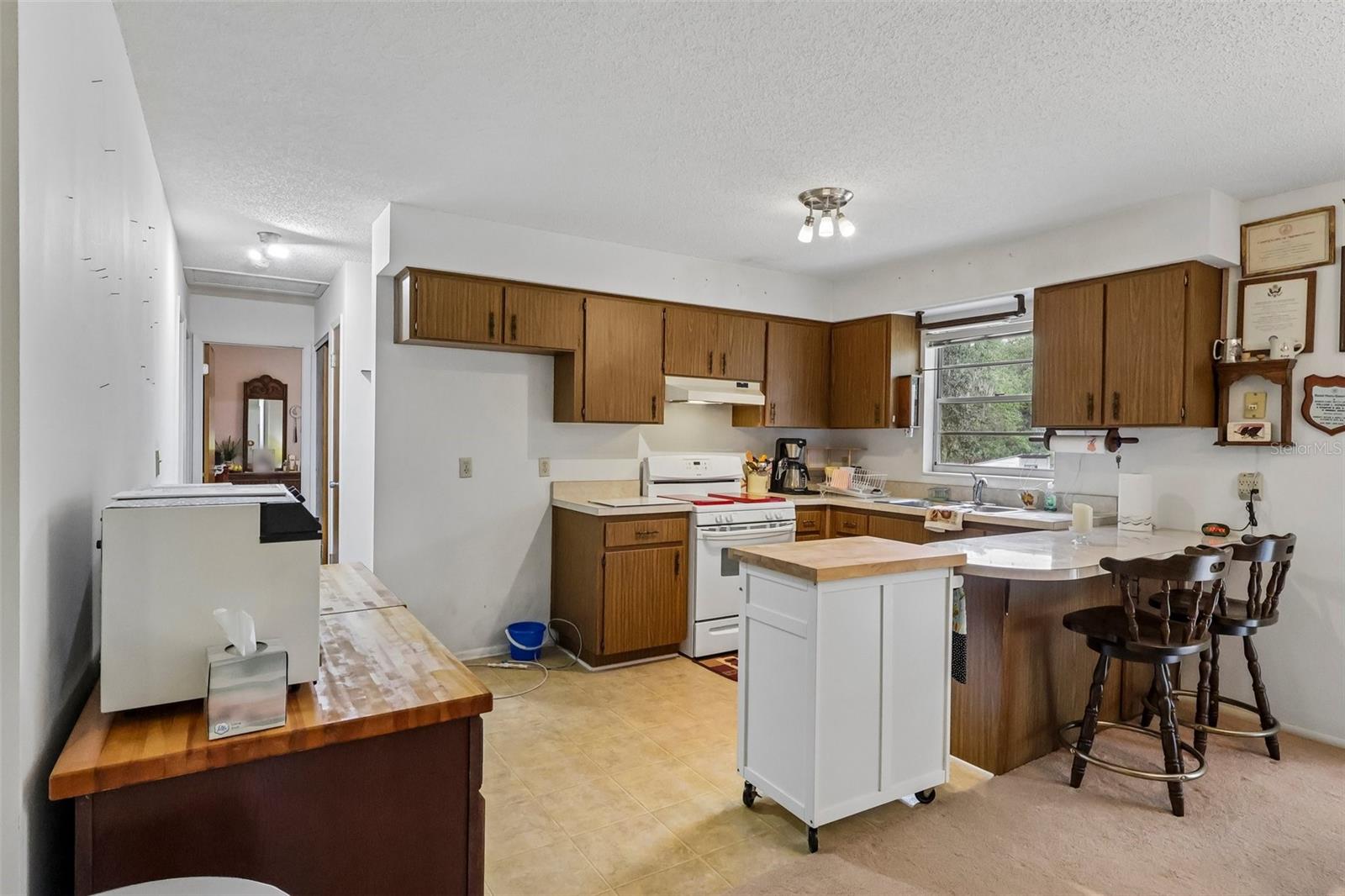 774 SE 116TH LN, WEBSTER, FL, 33597