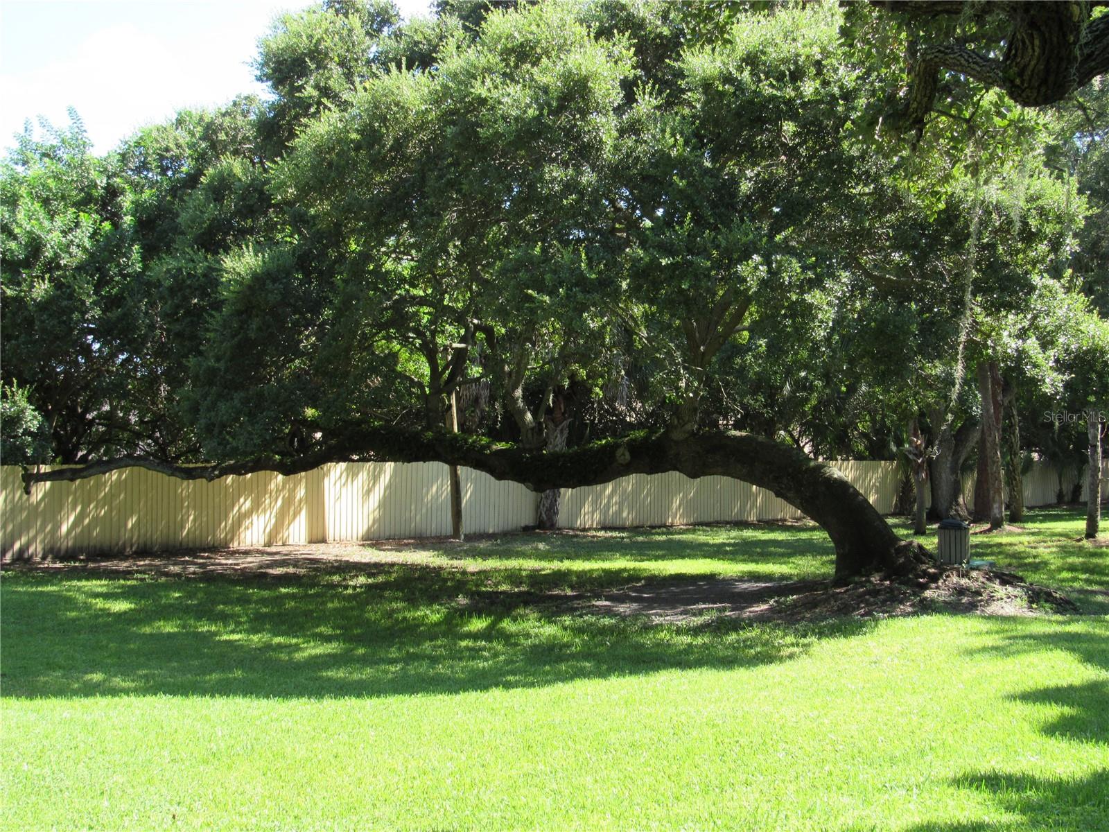 3001 58TH AVE S AVE S #805, ST PETERSBURG, FL, 33712