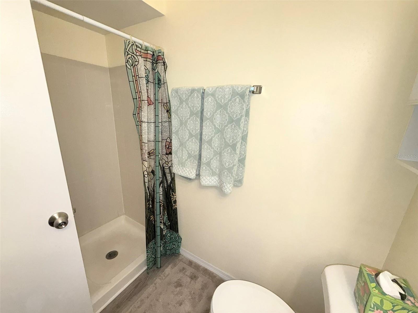 3001 58TH AVE S AVE S #805, ST PETERSBURG, FL, 33712