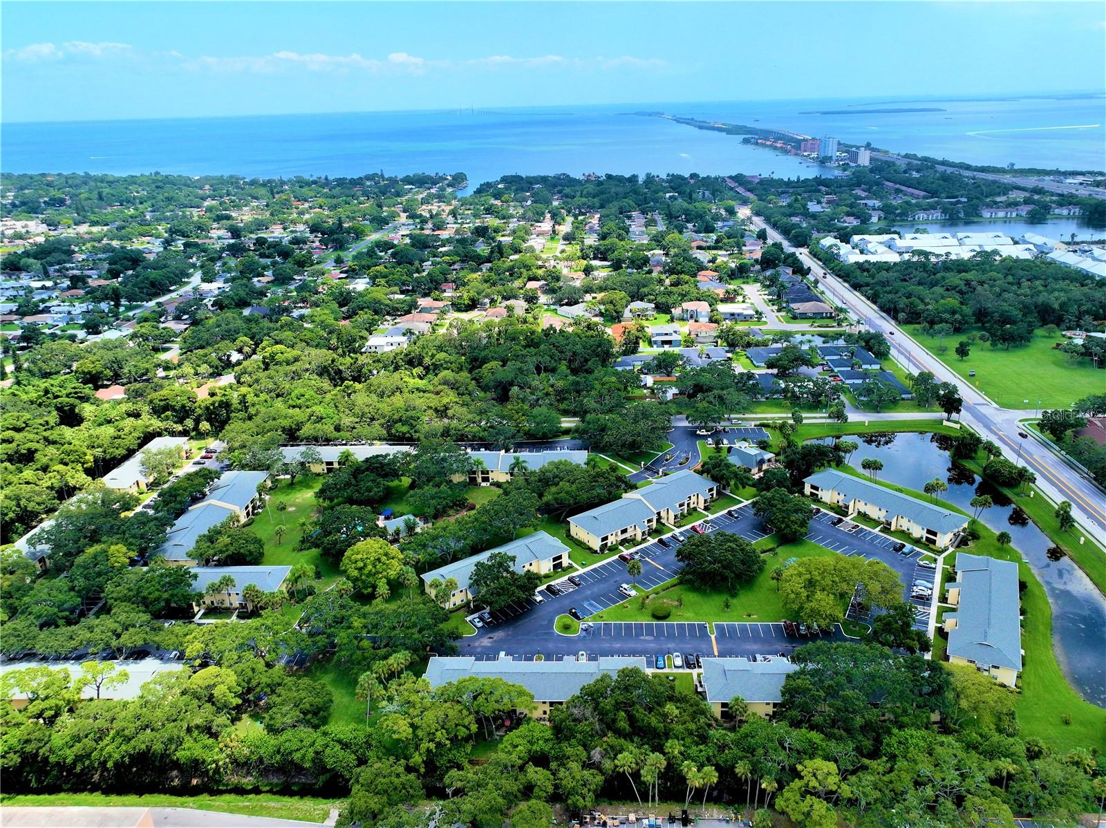 3001 58TH AVE S AVE S #805, ST PETERSBURG, FL, 33712