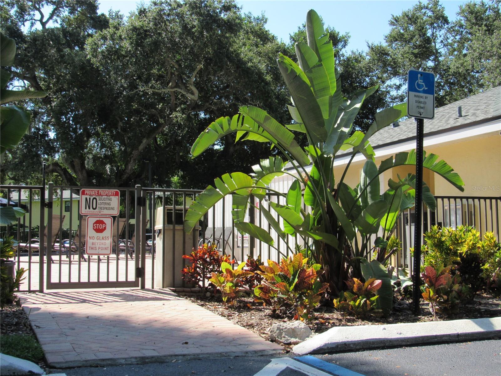 3001 58TH AVE S AVE S #805, ST PETERSBURG, FL, 33712