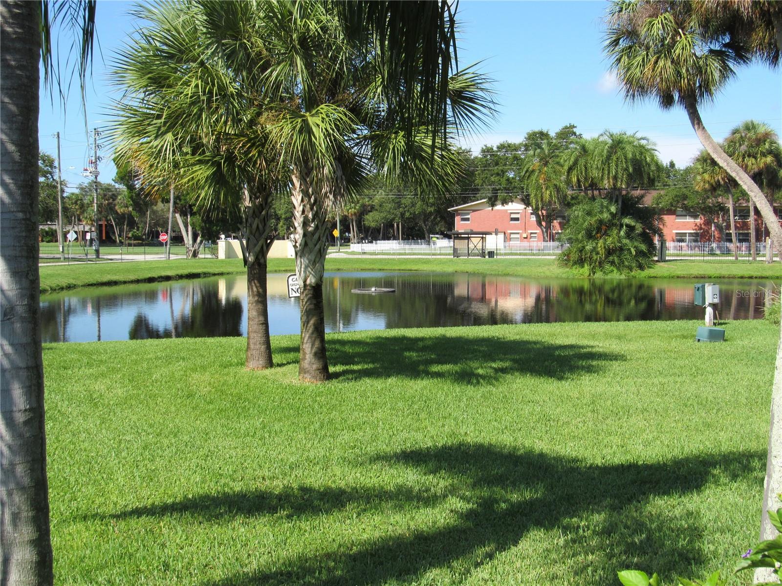 3001 58TH AVE S AVE S #805, ST PETERSBURG, FL, 33712