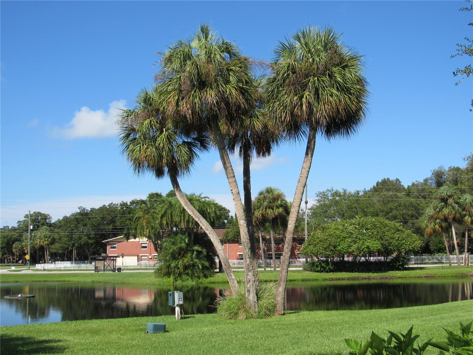 3001 58TH AVE S AVE S #805, ST PETERSBURG, FL, 33712