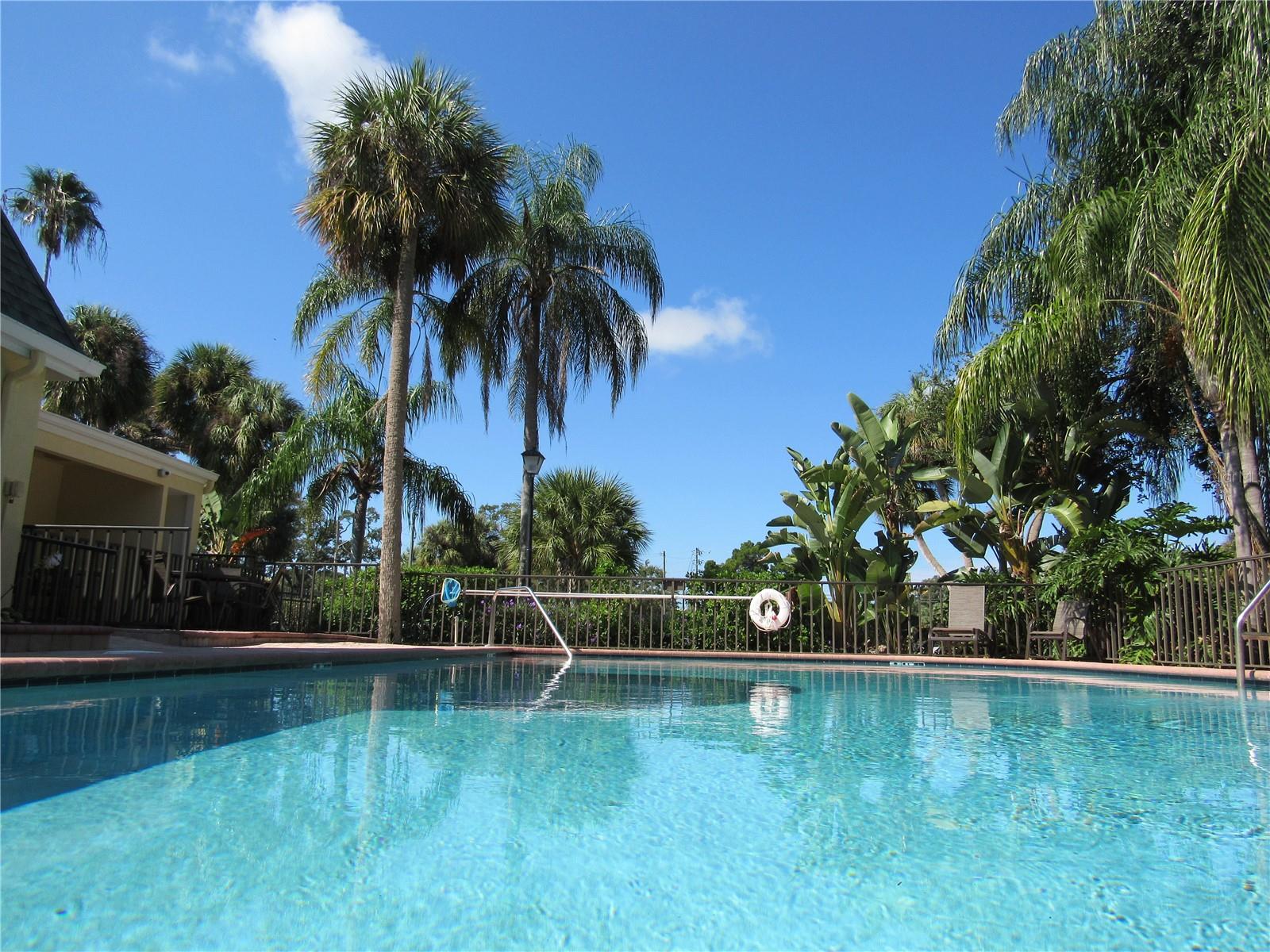 3001 58TH AVE S AVE S #805, ST PETERSBURG, FL, 33712