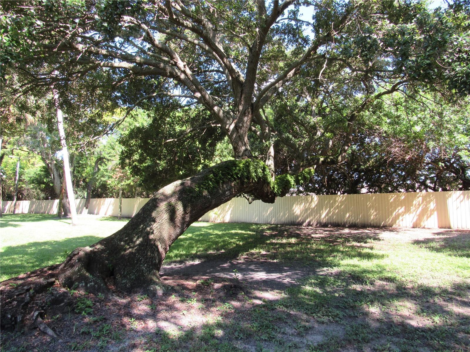 3001 58TH AVE S AVE S #805, ST PETERSBURG, FL, 33712