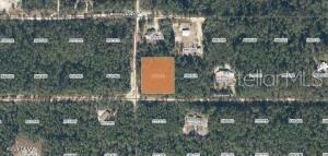 XX BOSTON AVE, INTERLACHEN, FL, 32148